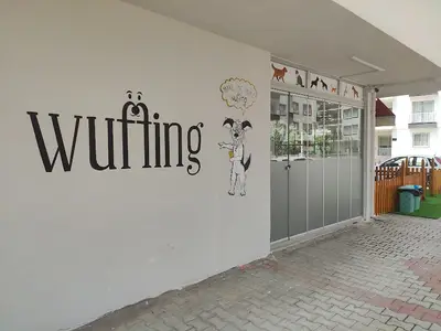 WUFFİNG EXCLUSİVE GROOMİNG ACADEMY CENTER MERSİN PET KUAFÖR&SPA