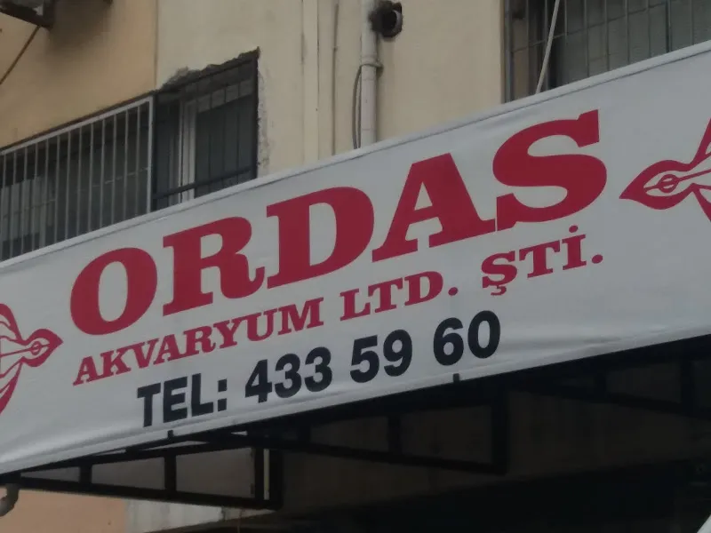 Ordas Tropikal Balık ve Pet Market foto 1