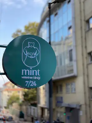 Mint Veteriner Polikliniği 7/24