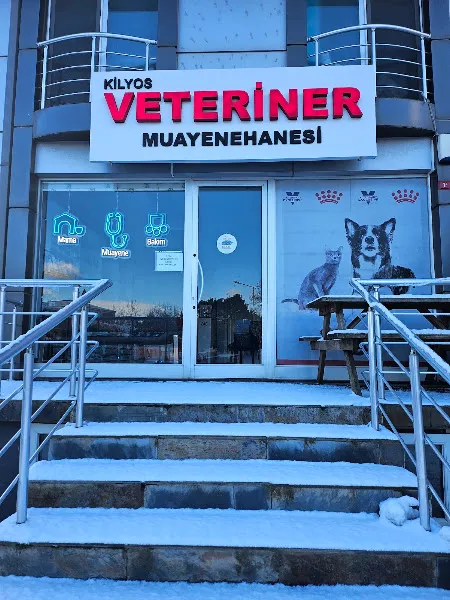 KİLYOS VETERİNER MUAYENEHANESİ foto 1