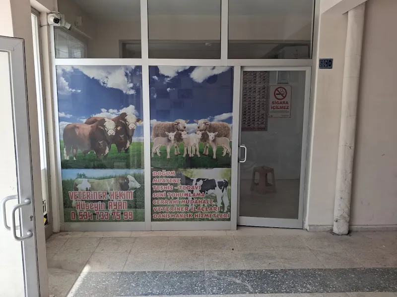 Ayan veteriner kliniği foto 2