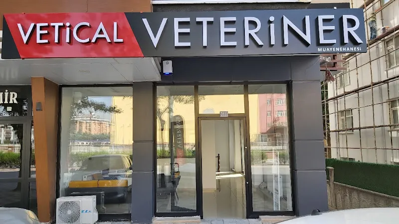 Veteriner Hekim Çağlayan Çığ foto 2