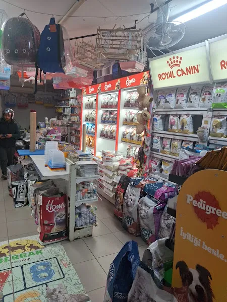 Berrak Petshop foto 2