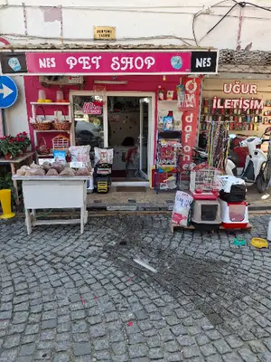 NESS PET SHOP