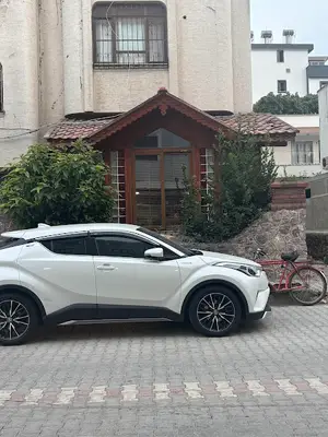 Bahçe Veteriner