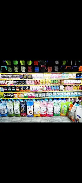 Mavidüş petshop & çiçek foto 1