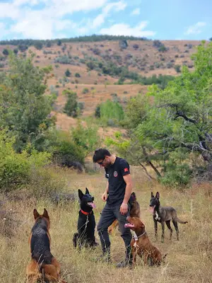 Vonbir K9 Köpek Eğitim Merkezi