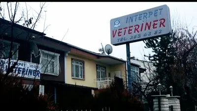 İnterpet Veteriner Kliniği/Batıkent