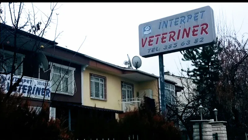 İnterpet Veteriner Kliniği/Batıkent foto 1