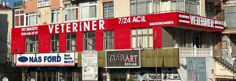 Maltepe PET Medicine VETERİNER KİLİNİĞİ (7/24) foto 1