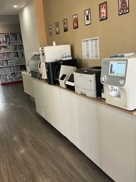 Maltepe PET Medicine VETERİNER KİLİNİĞİ (7/24) foto 2