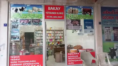 Bakay veteriner kliniği