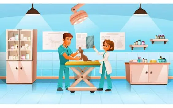 PetCare Veteriner Kliniği foto 2
