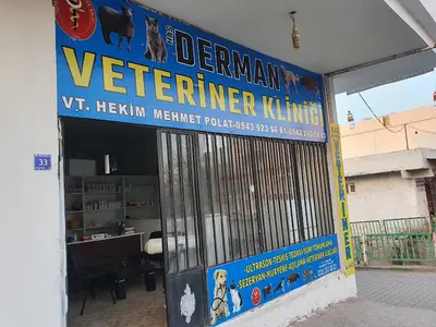 Baytar Sait