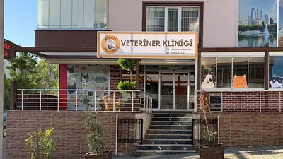 Veteriner Hekim - İstiklal Cd. Girişi