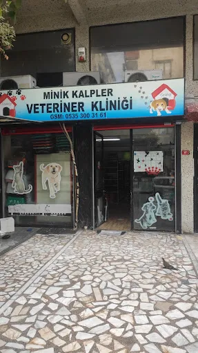 minikkalpler köpek eğitimi foto 1