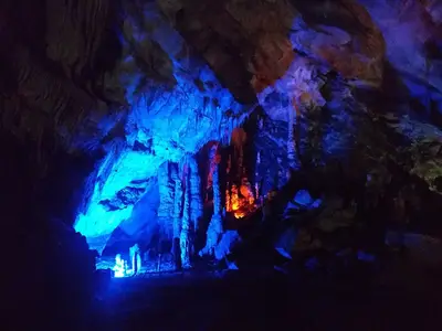 Zonguldak Hayvan Sevenler Derneği