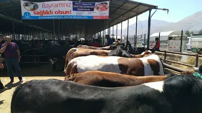 Hayvan Pazarı