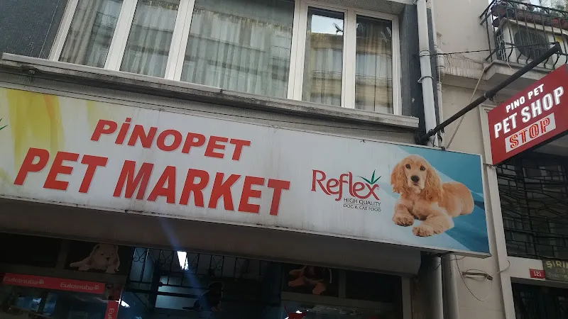 Pino Pet foto 1