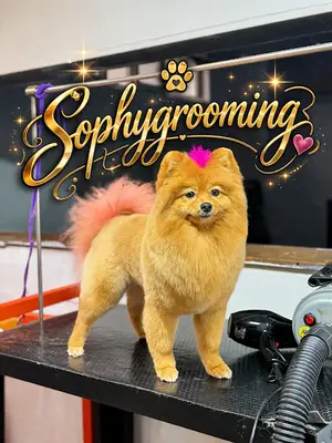 Sophy grooming
