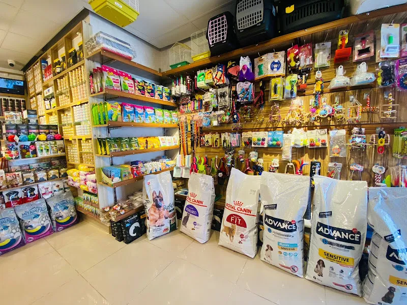 TOM & JERRY PETSHOP foto 2