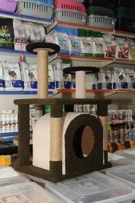 Paşam Petmarket (Petshop akvaryum)