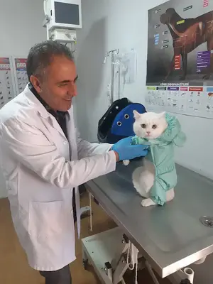 SİLİVRİ ANKA VETERİNER