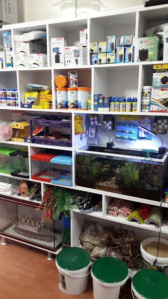 Petshop Evim foto 2