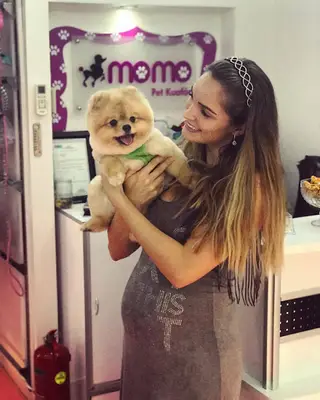 Momo Pet Kuaför