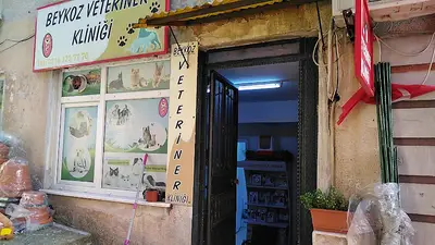 Beykoz Veteriner Kliniği