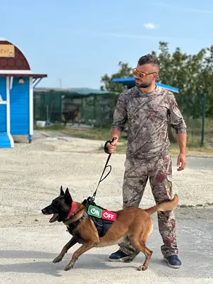 Eyüp Doğan Puppymalinoistr