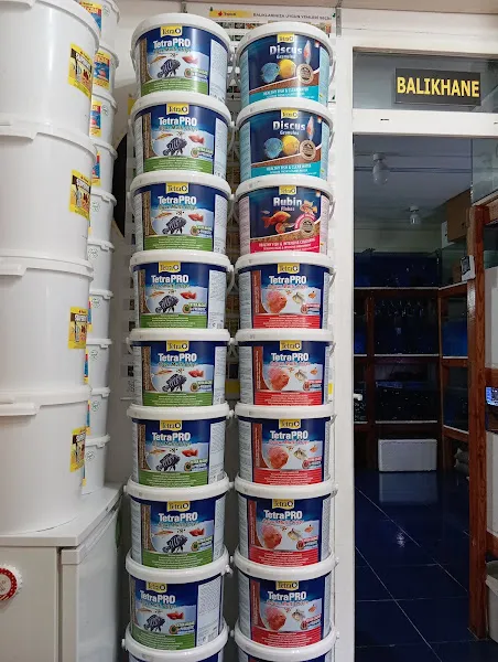 Plakat Akvaryum Su Ürünleri foto 1