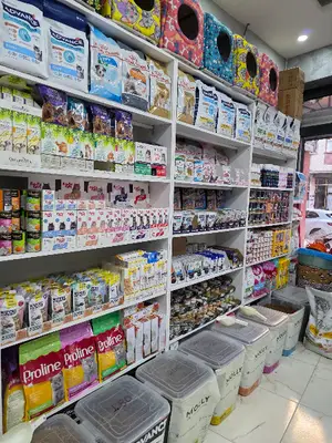 ELAZIĞ TOM & JERRY PETSHOP