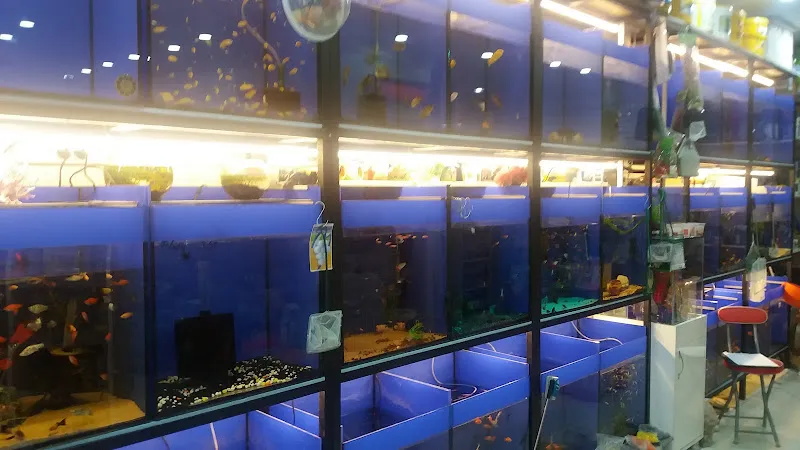 Bella PetShop foto 2