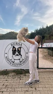 Bursa Köpek Koçu fotoğrafı