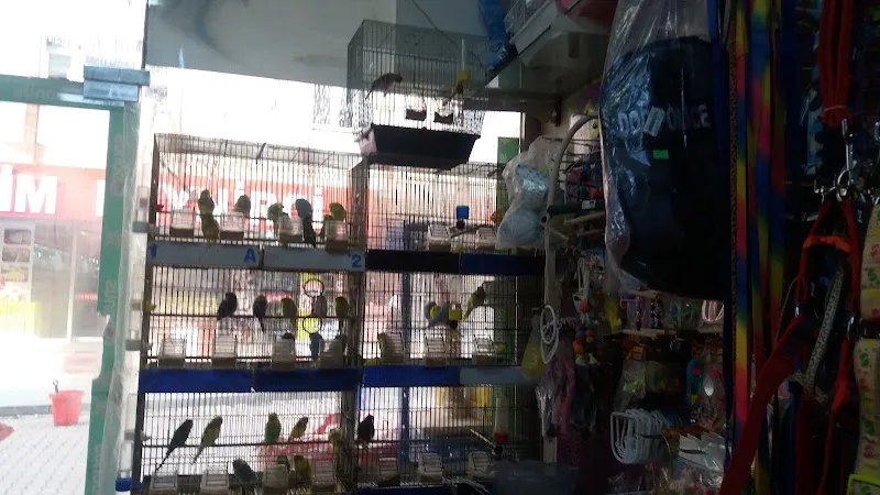 Akdeniz AKVARYUM Petshop foto 2