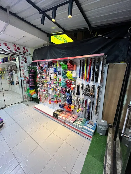 BAHANE PET KUAFÖR & PETSHOP foto 2