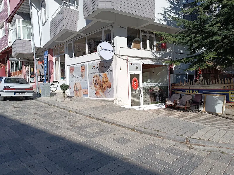 Güler veteriner klinği foto 2