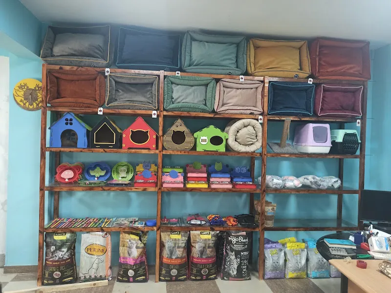 Ormancı Akvaryum foto 2