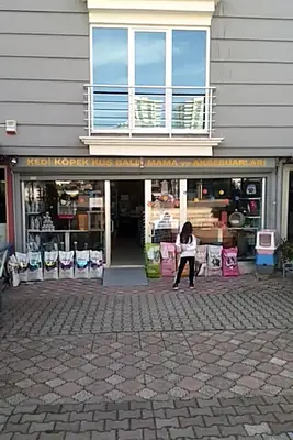 Pati 55 Pet Market Petshop
