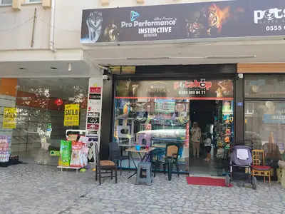 Kdz.Ereğli - Gezer Akvaryum - Petshop