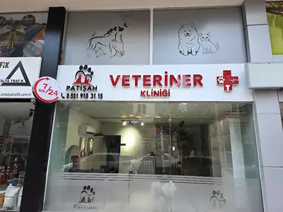 Patişah Veteriner Kliniği Antalya