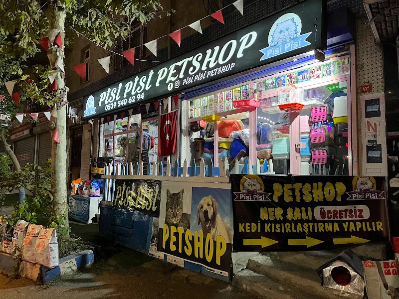 Pisi Pisi Petshop İYİLİK İYİDİR. foto 1