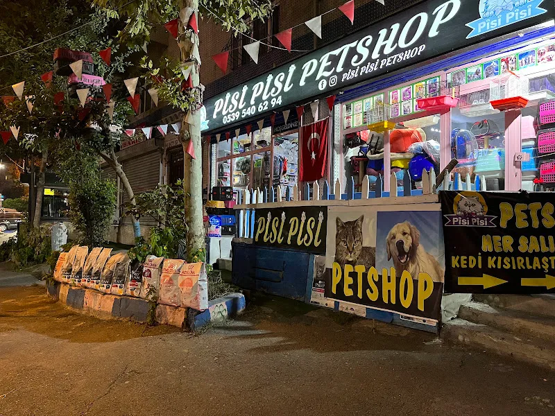 Pisi Pisi Petshop İYİLİK İYİDİR. foto 2