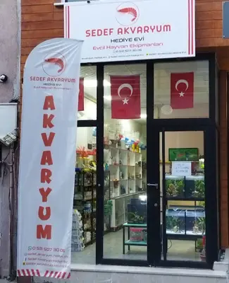 Sedef Akvaryum Hediye Evi