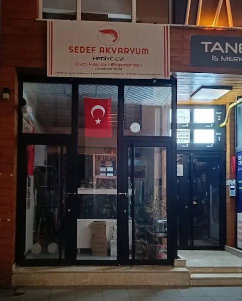 Sedef Akvaryum Hediye Evi foto 2
