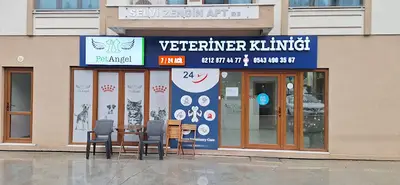 PetAngel Veteriner Kliniği
