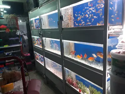 Hicaz Yem & petshop