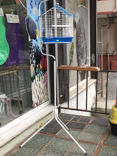 DENİZ PETSHOP foto 2