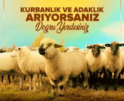 Maraş adak ve kurban merkezi